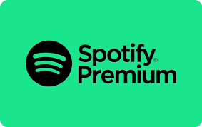 Spotify 12 Month Subscription